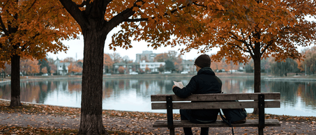 A student reading a study permit refusal letter on a park bench